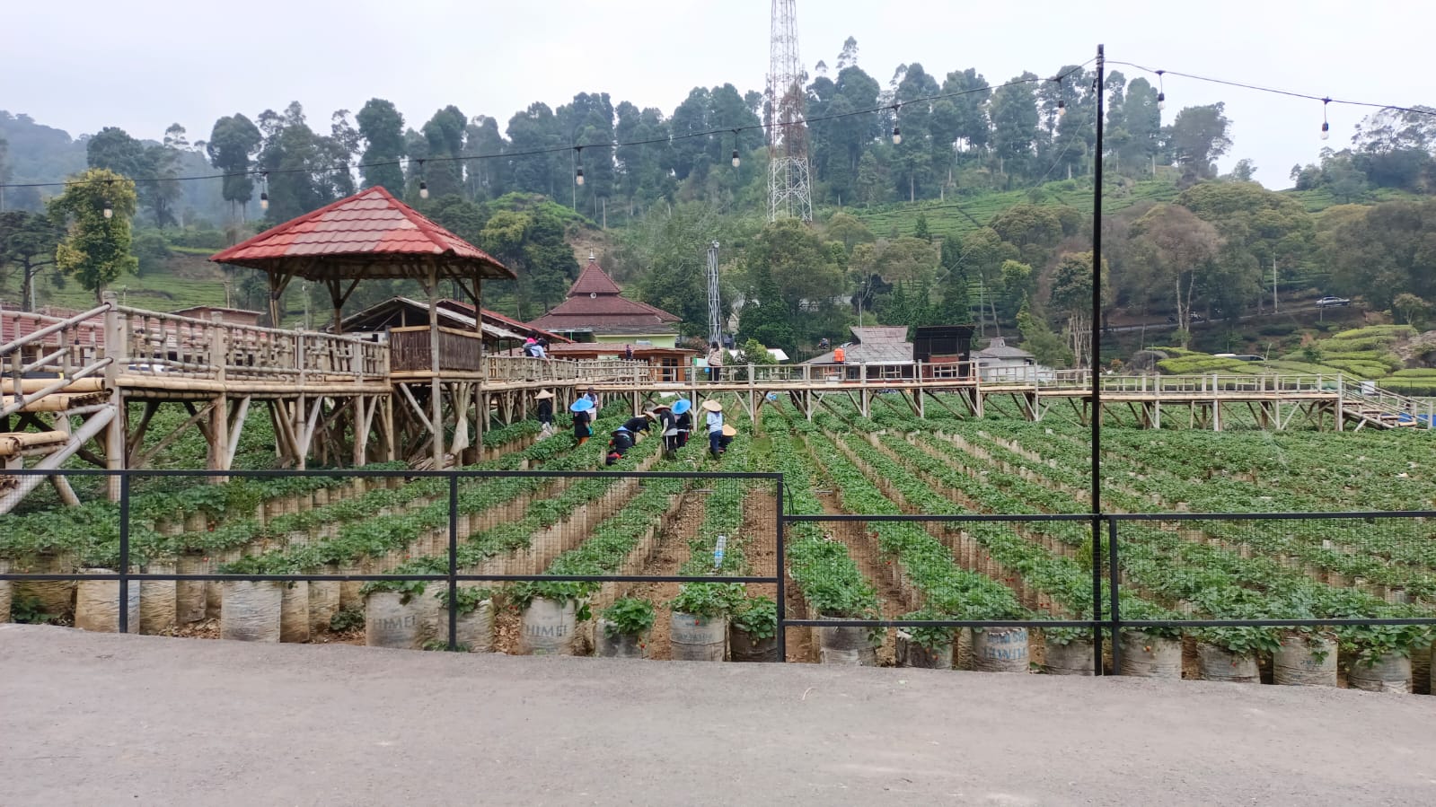 Villa Ciwidey September 2025