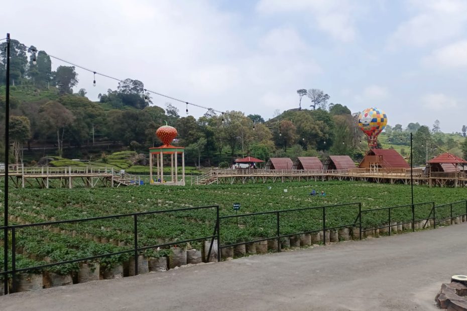 Villa Dusun Strawberry Walini: Liburan Impian di Ciwidey, Juni 2025