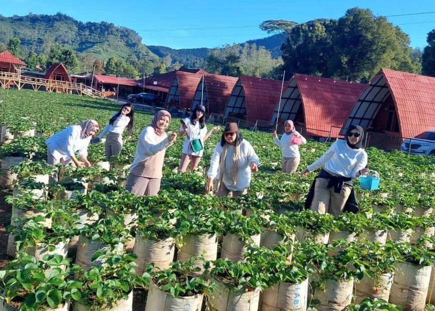 Rasakan Sejuknya Ciwidey di Vila Terbaik! Liburan September 2025 dengan Harga Terjangkau