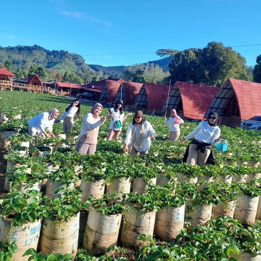 Rasakan Sejuknya Ciwidey di Vila Terbaik! Liburan September 2025 dengan Harga Terjangkau